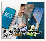 Budget Commentary 2021